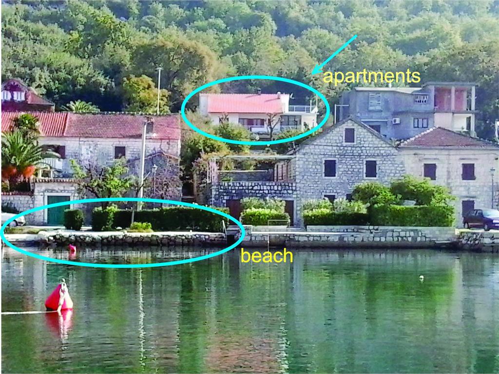 Apartment Cizek كوتور الغرفة الصورة